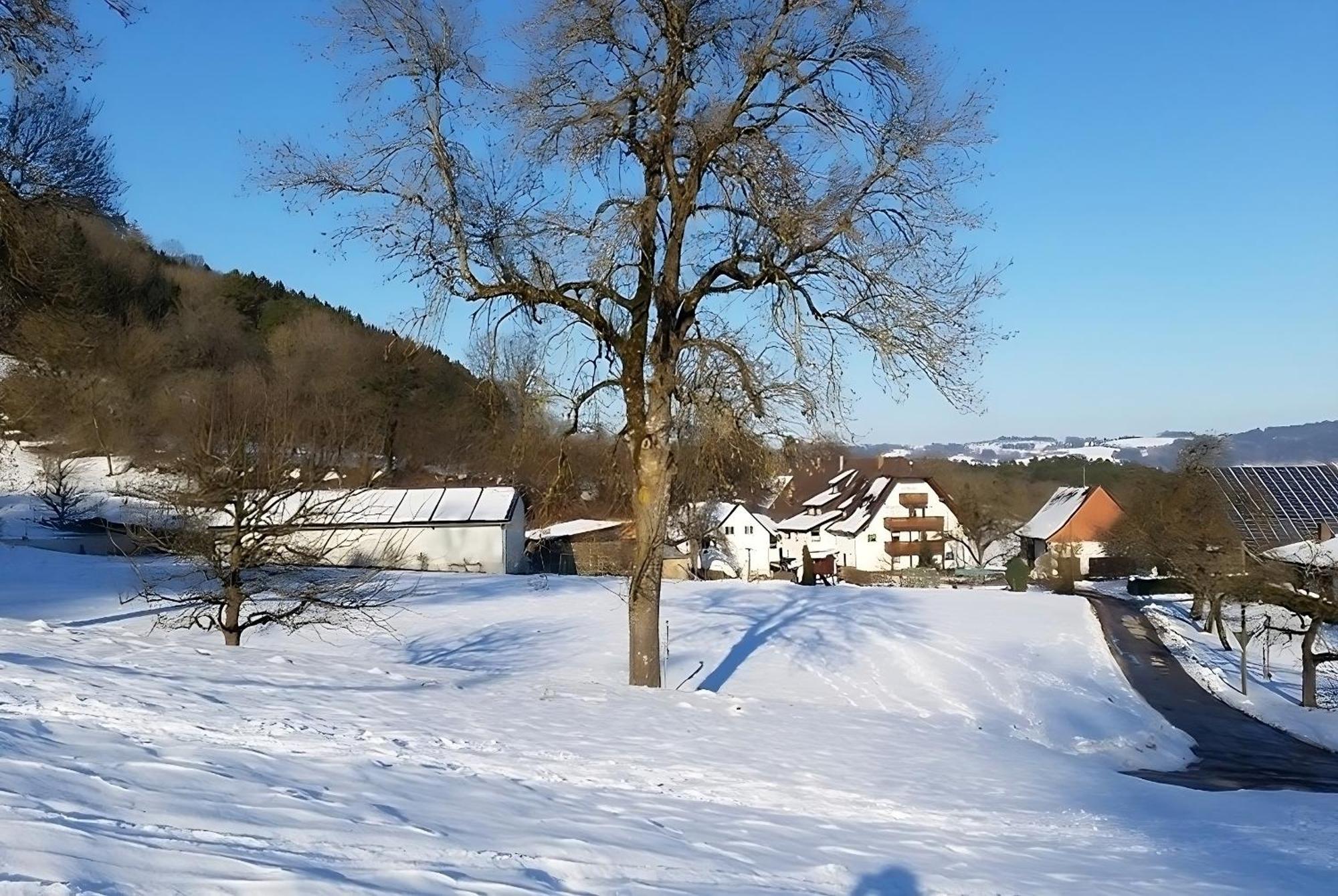 Mayer Burghoefe Owingen Экстерьер фото